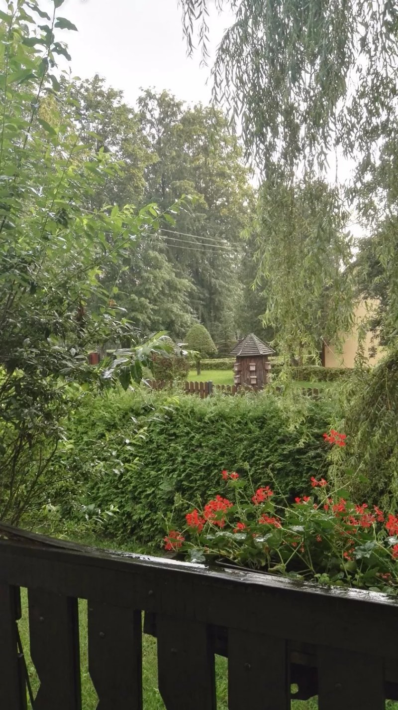 Knieja Pension