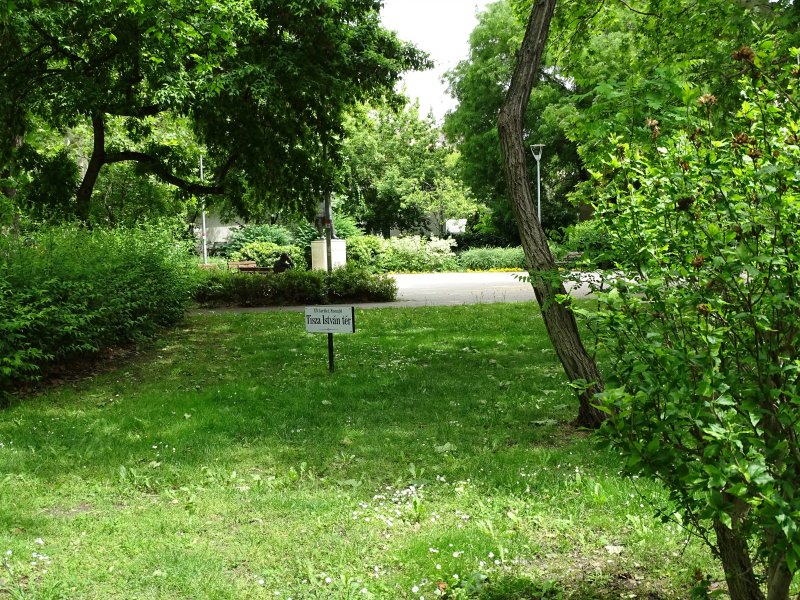 Tisza Istvan Square