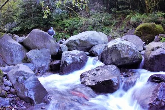 MadTrout - Madeira Trout Fishing