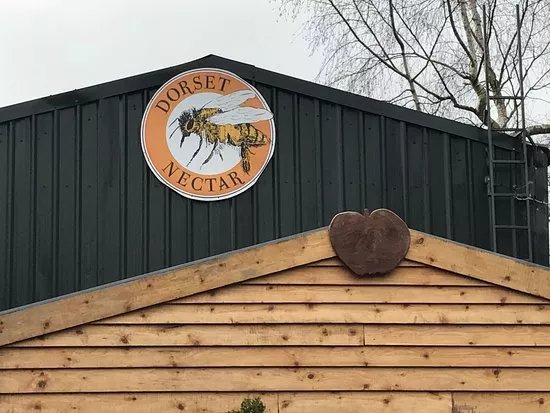 Dorset Nectar Cider
