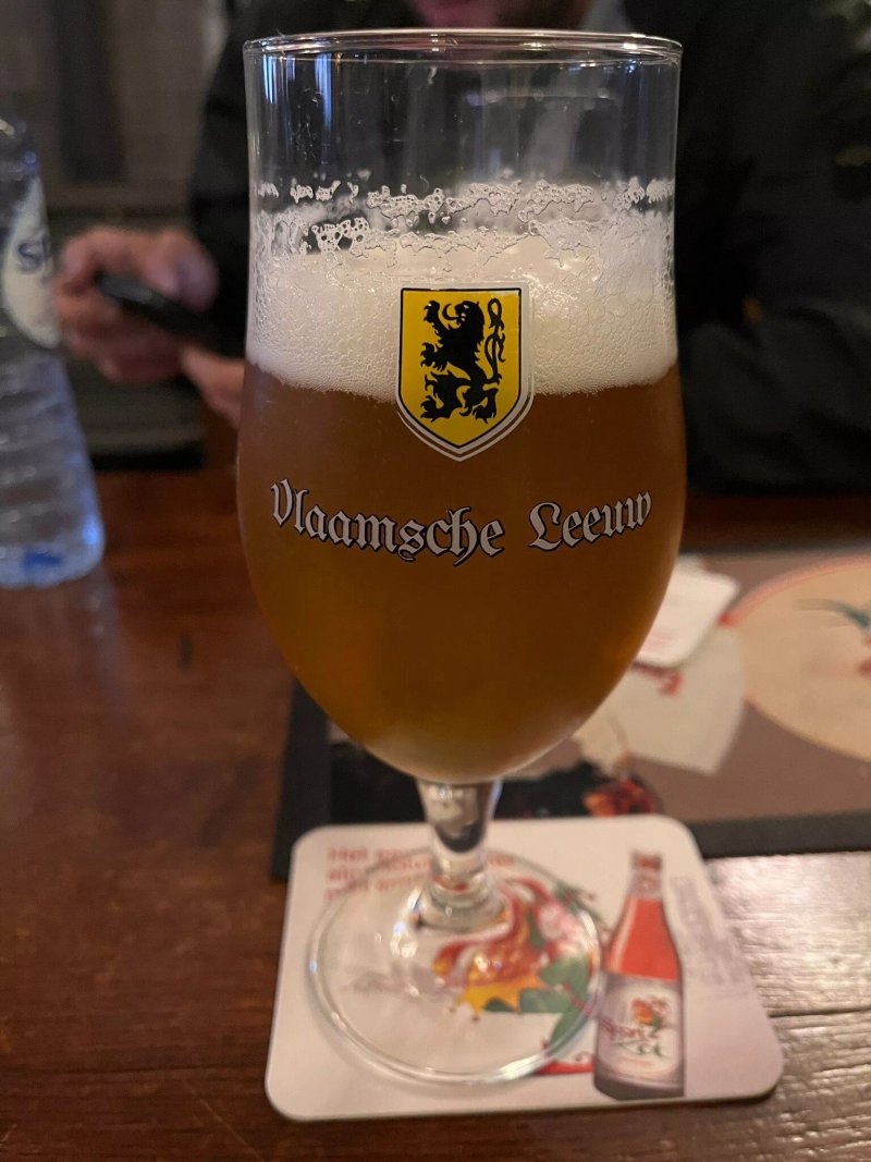 Leeuw Van Vlaanderen