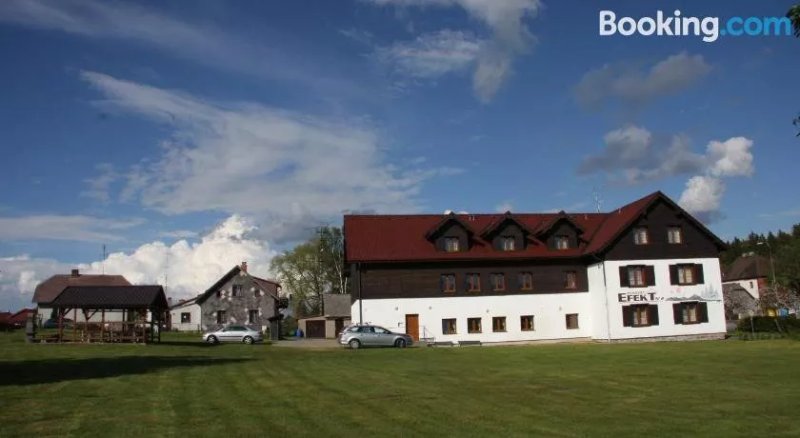Pension EFEKT No 2