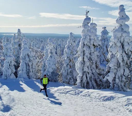Rovaniemi Running Tours