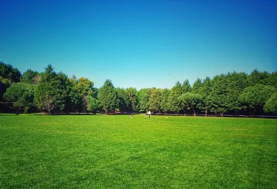 Parque da Cidade