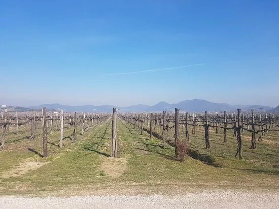 Azienda Agricola Loreggian
