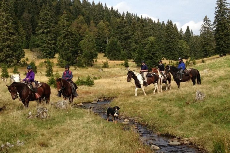 Schwarzwald-Wanderreiten