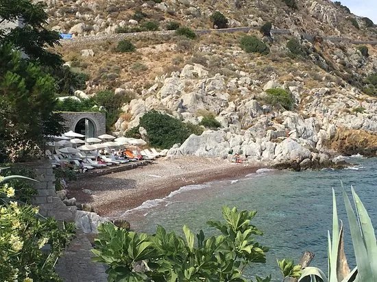 Mikro Kamini