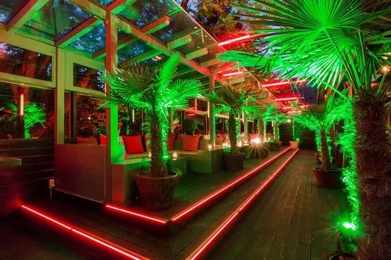 Pacha