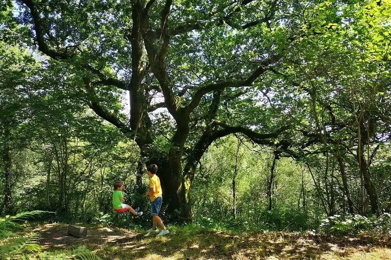 A fabulous family friendly cottage in a beautiful rural woodland setting