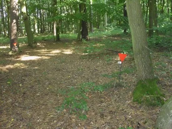 Gedenkstatte Todesmarsch im Belower Wald
