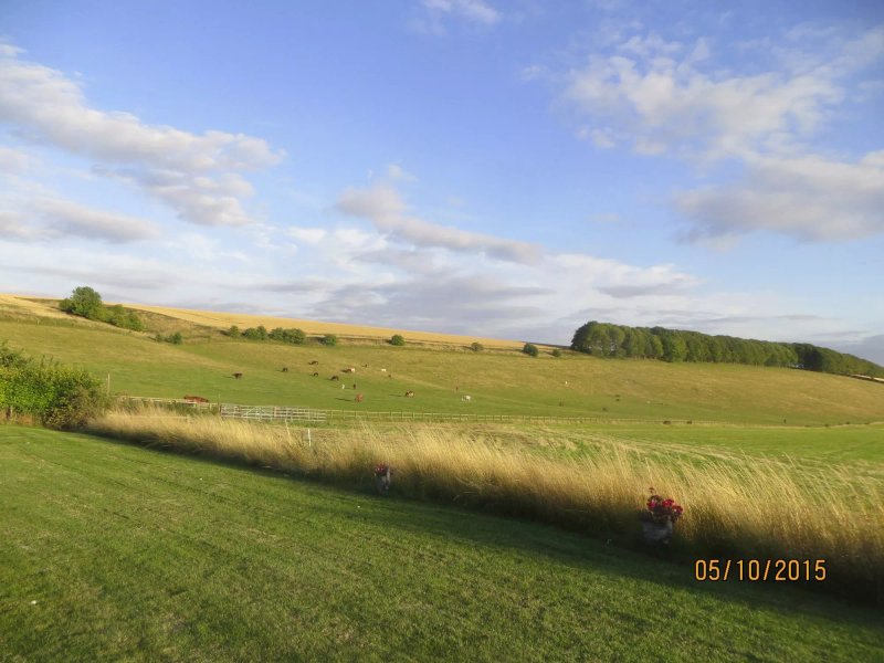 Down Barn Farm