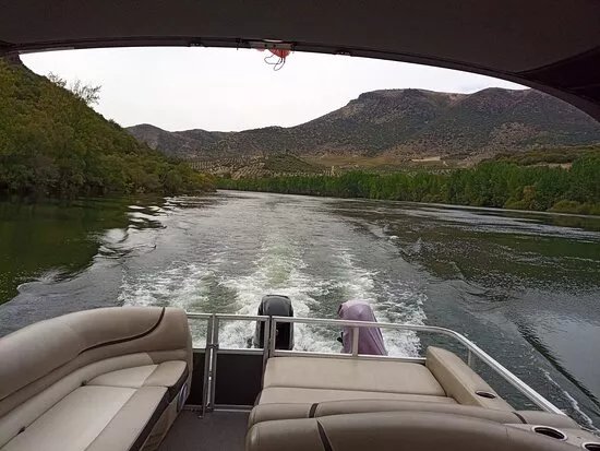 Passeios De Barco Dario Arrepia