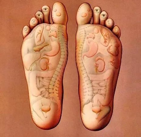 Riflessologia plantare e medicina cinese