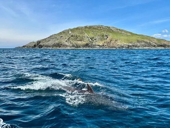 Achill Seascape Boat Tours