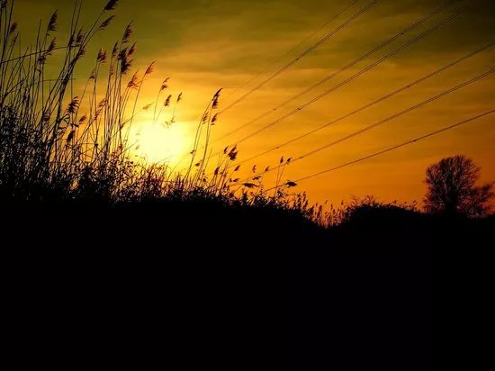 RSPB Bowers Marsh