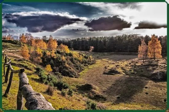 Teverener Heide