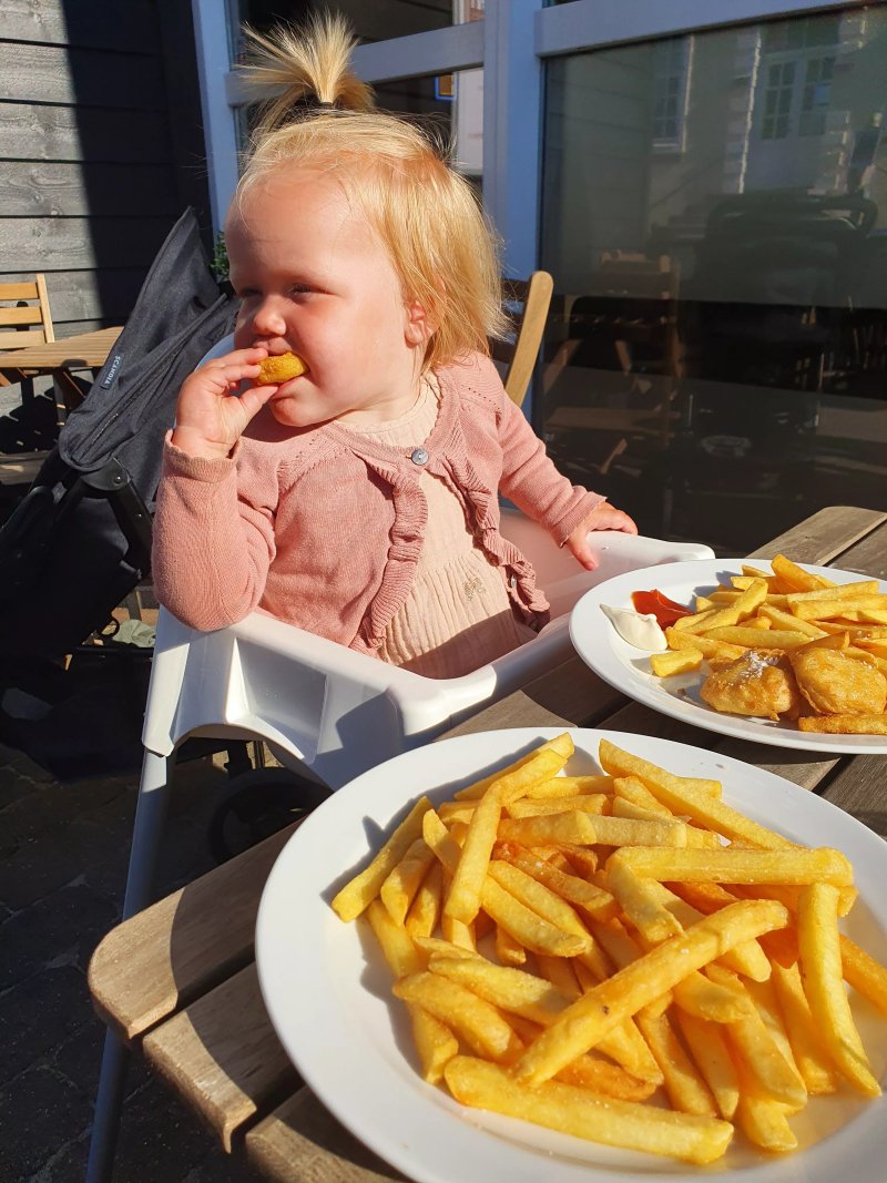 Molen Burgers N Fries