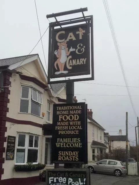 Cat & Canary