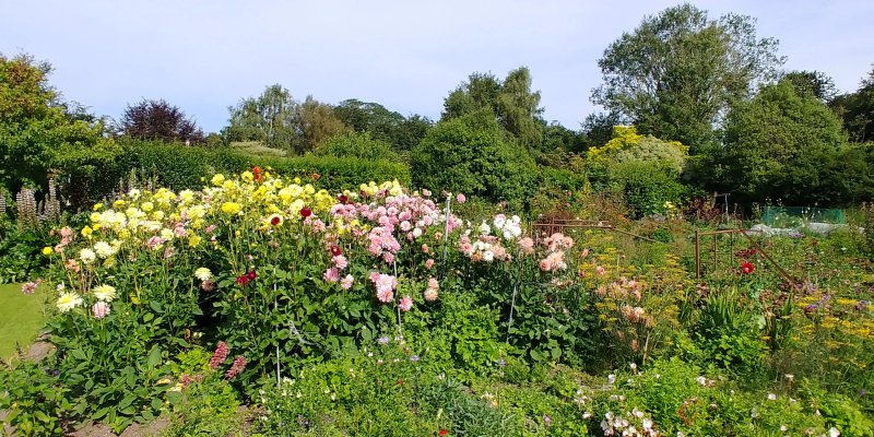 Courtlands Nurseries Bed and Breakfast