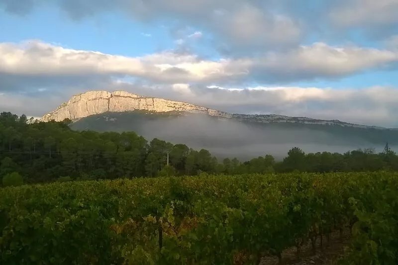 Country house between vineyards, scrubland and river.
