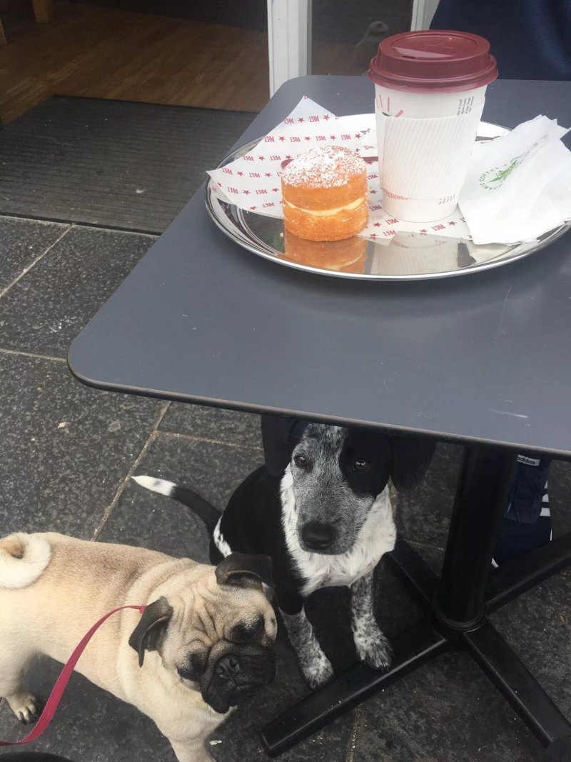 Pret a Manger