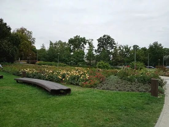 Park Jagiellonski w Stargardzie