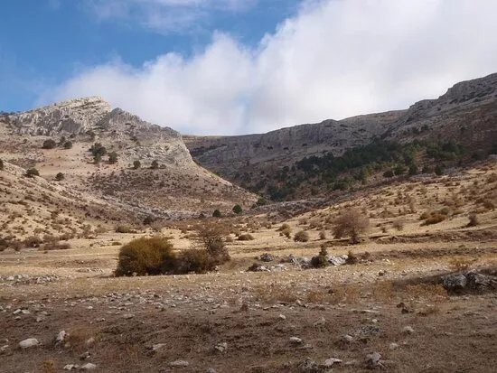 Sendero Cortijo del Nacimiento - Prados del Conde