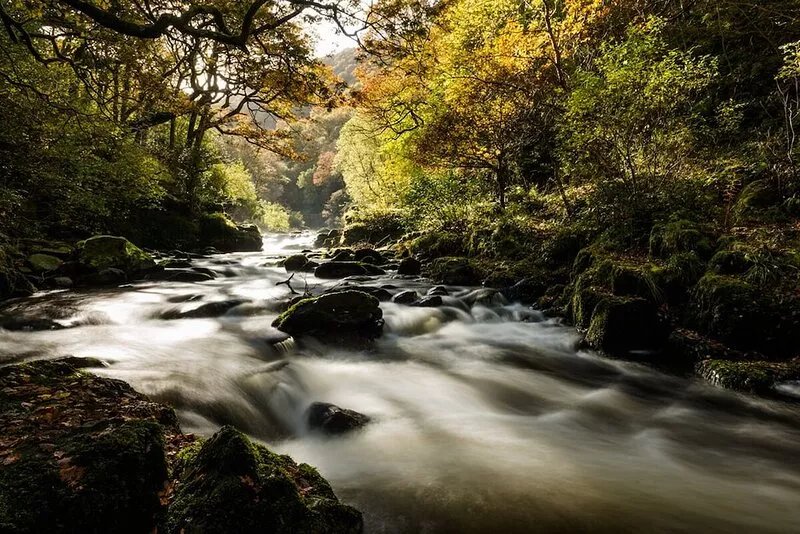 Special cottage for 2-4 in secluded nature reserve in Exmoor National Park.