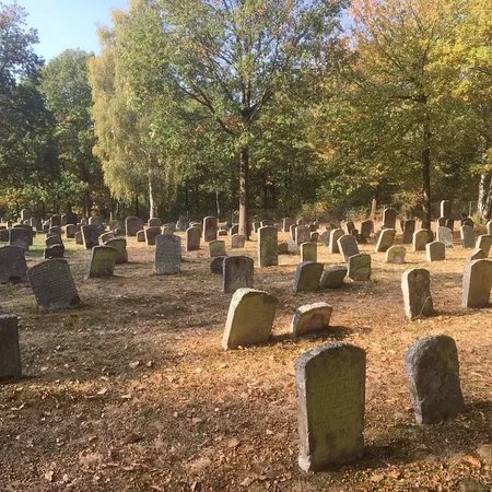 Der judische Friedhof