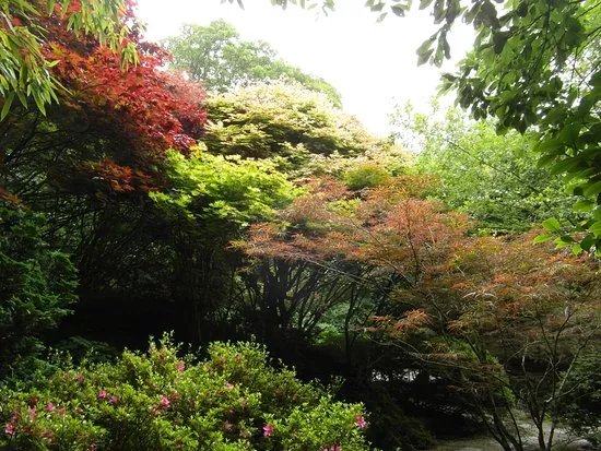The Japanese Garden