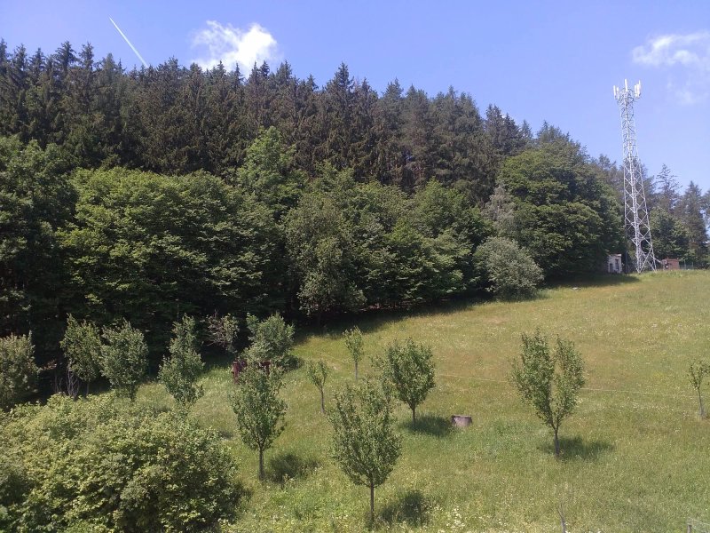 Hotel Rusava