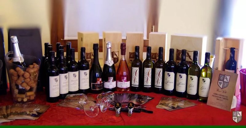 Agriturismo Casa Villi