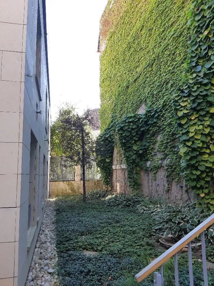 Hotel V Raji