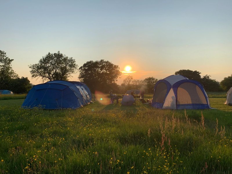 The Sunnyfield
