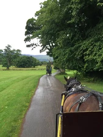 Killarney Horse & Carriage Tours