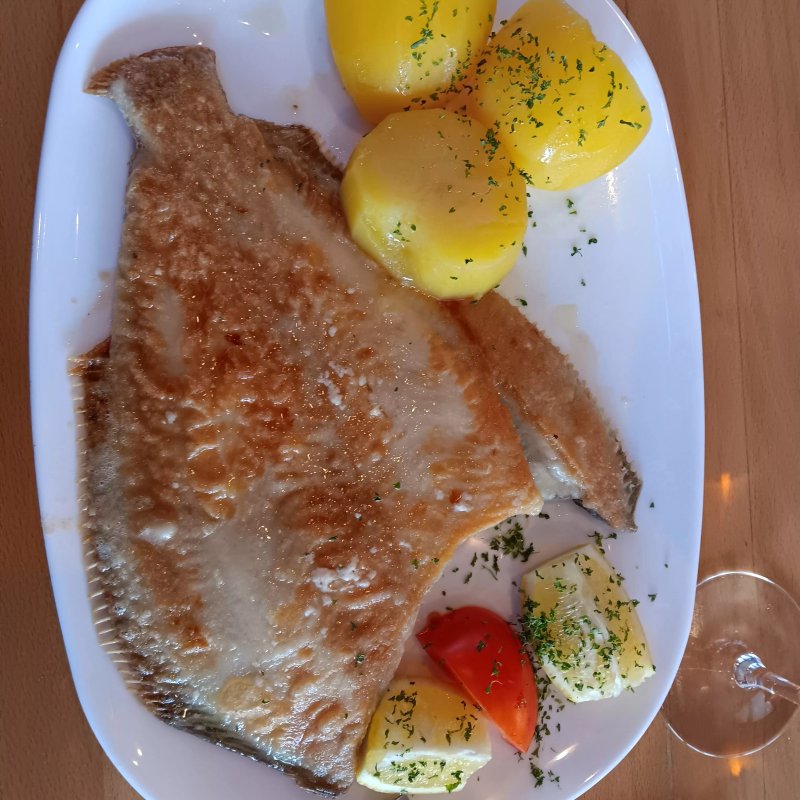 Hafenwirtschaft Hamburg