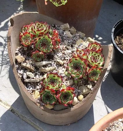 Hoo House Nursery