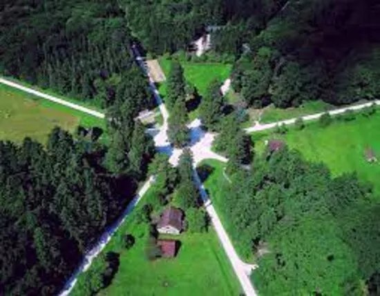 Foret Domaniale D'orleans