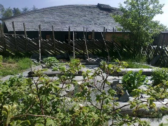 The Viking Farm