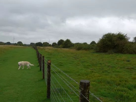 Twywell Hills and Dales