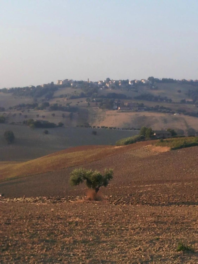 Agriturismo I Ciliegi del Checco
