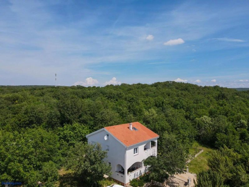 Apartments and Rooms Danijel