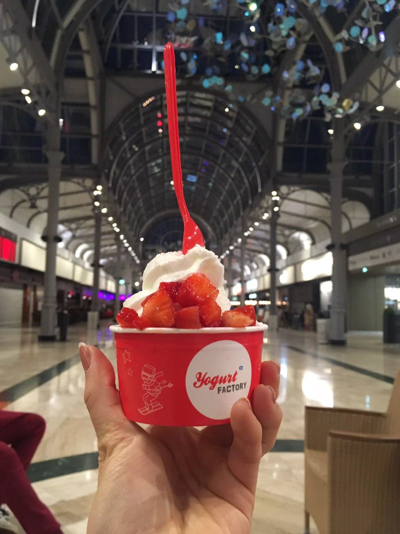 Yogurt Factory