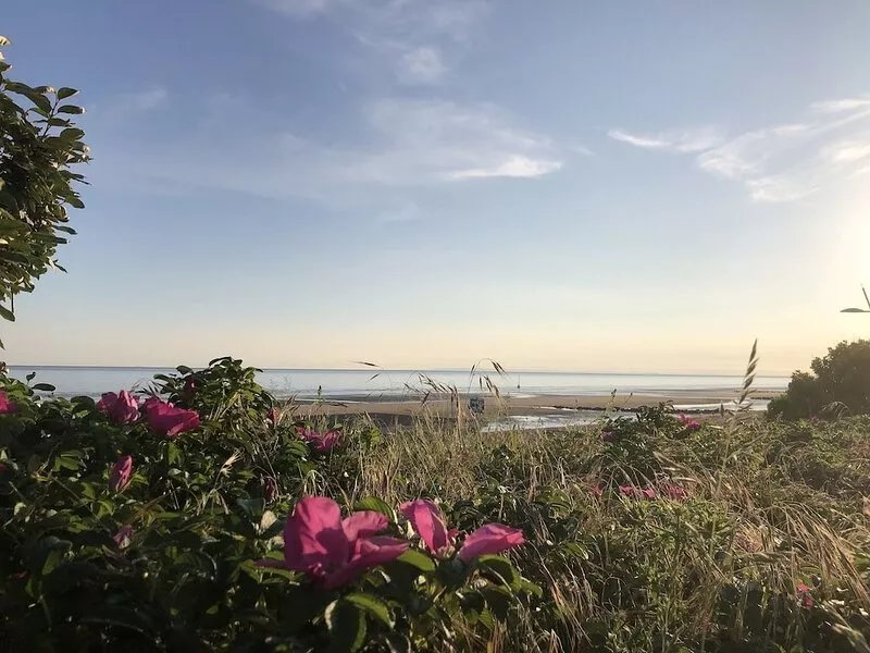 SUPERB HOUSE 150M FROM THE BEACH OF CABOURG