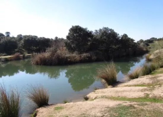 Area recreativa Burguillos
