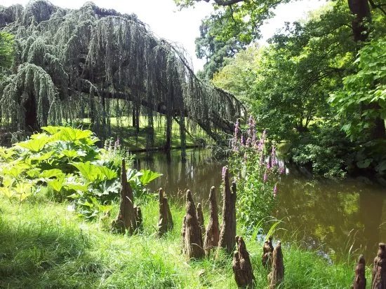 Arboretum de la Vallee-aux-Loups