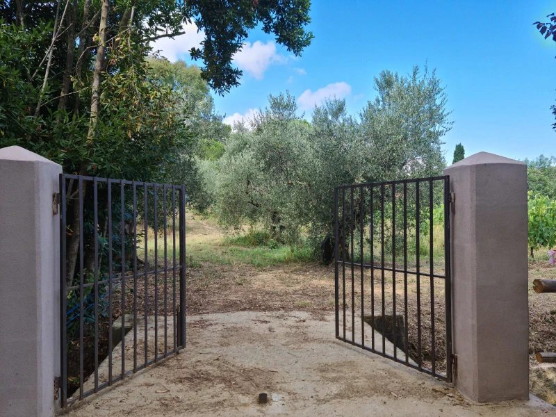 Tenuta Santa Caterina
