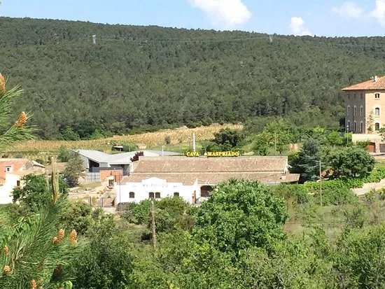 Cava Maspujado