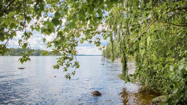Viikinsaaren Sauna