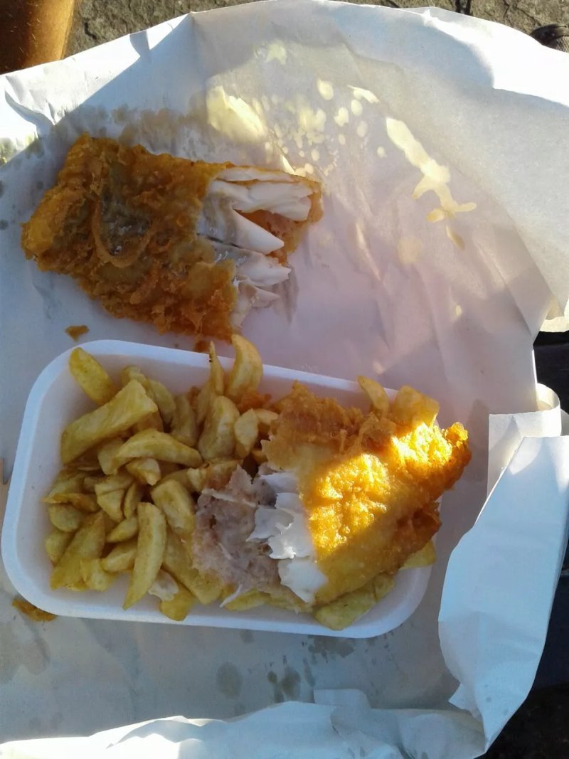 Raglan Fryer